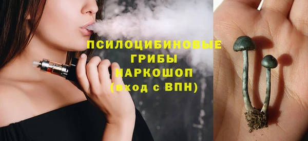гидропоника Медвежьегорск