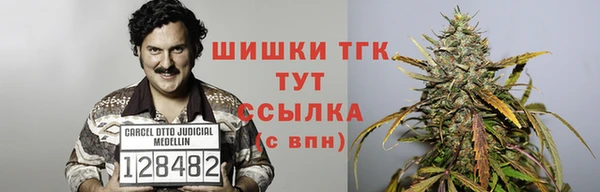 дмт Мегион