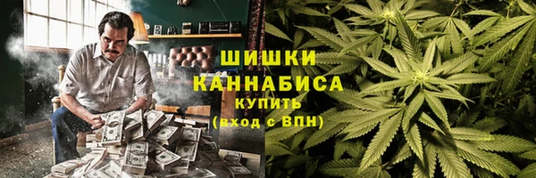 дмт Мегион