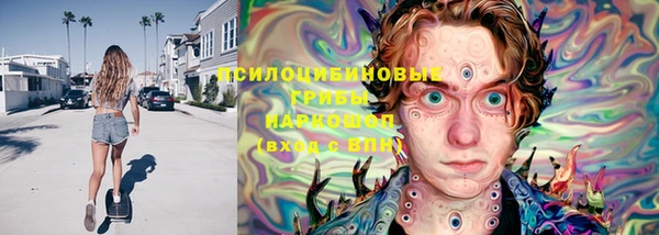 гидропоника Медвежьегорск