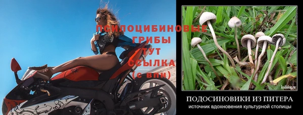 дмт Мегион